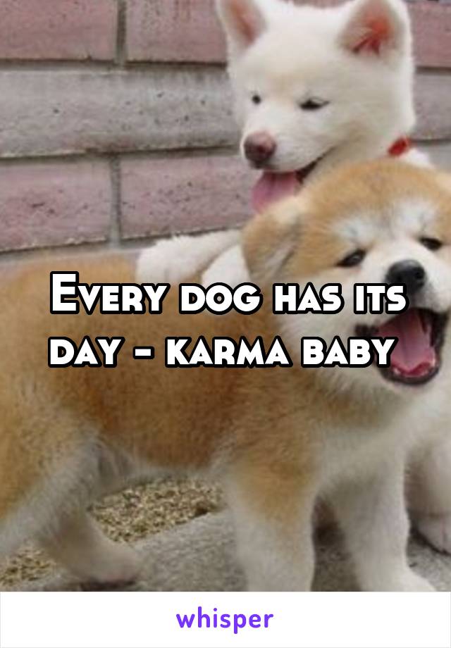 Every dog has its day - karma baby 