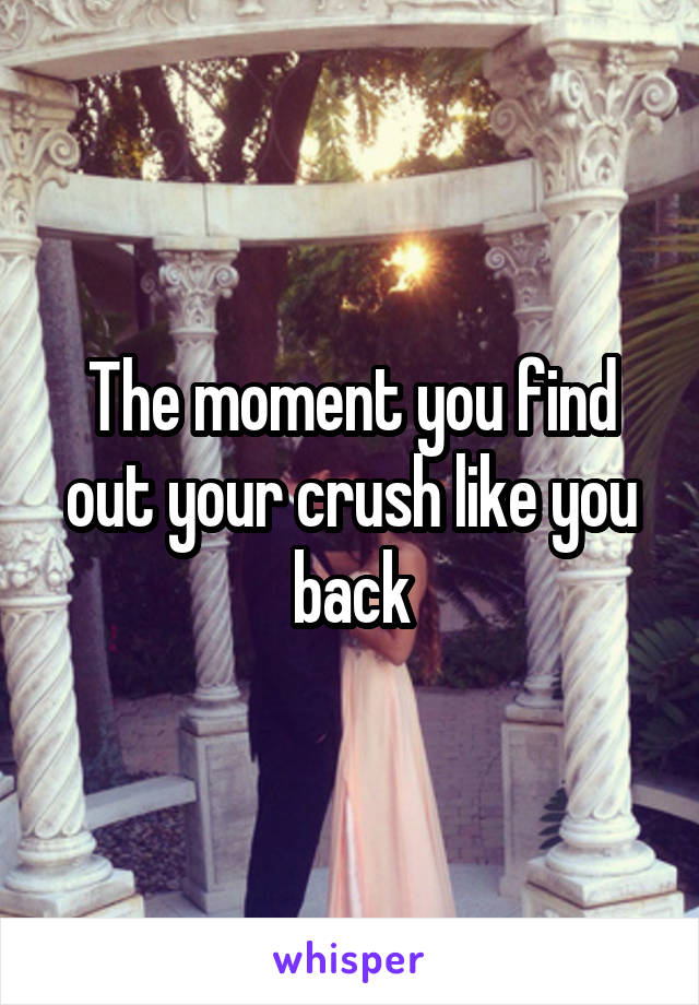 The moment you find out your crush like you back