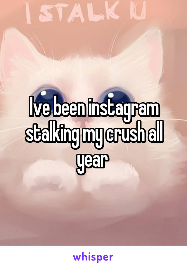 Ive been instagram stalking my crush all year 