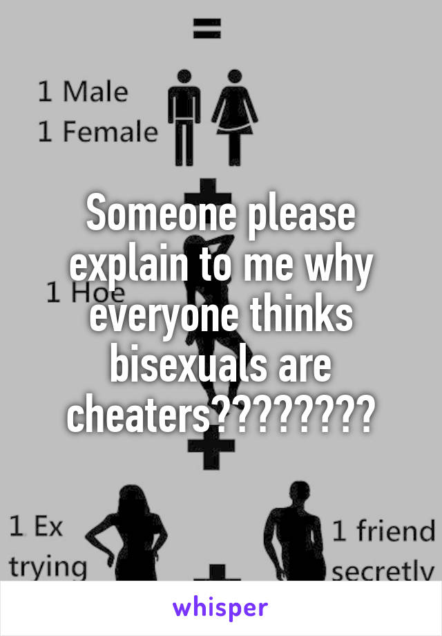 Someone please explain to me why everyone thinks bisexuals are cheaters????????