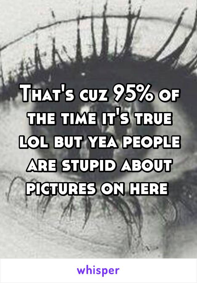 That's cuz 95% of the time it's true lol but yea people are stupid about pictures on here 