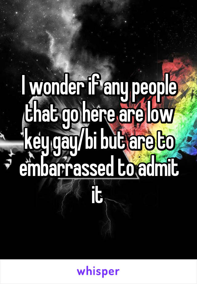 I wonder if any people that go here are low key gay/bi but are to embarrassed to admit it 