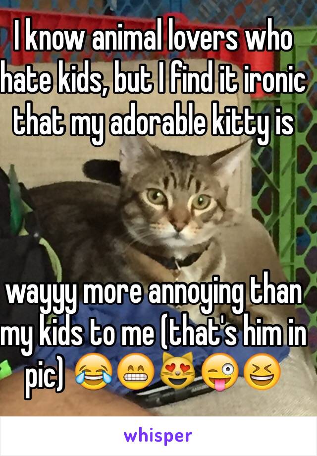 I know animal lovers who hate kids, but I find it ironic that my adorable kitty is 



wayyy more annoying than my kids to me (that's him in pic) 😂😁😻😜😆