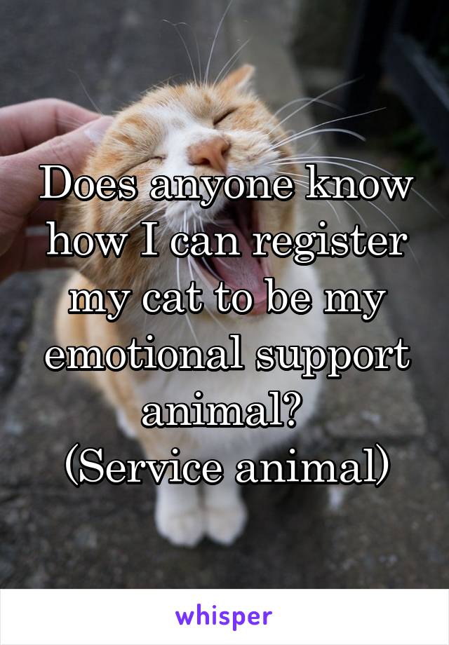 Does anyone know how I can register my cat to be my emotional support animal? 
(Service animal)