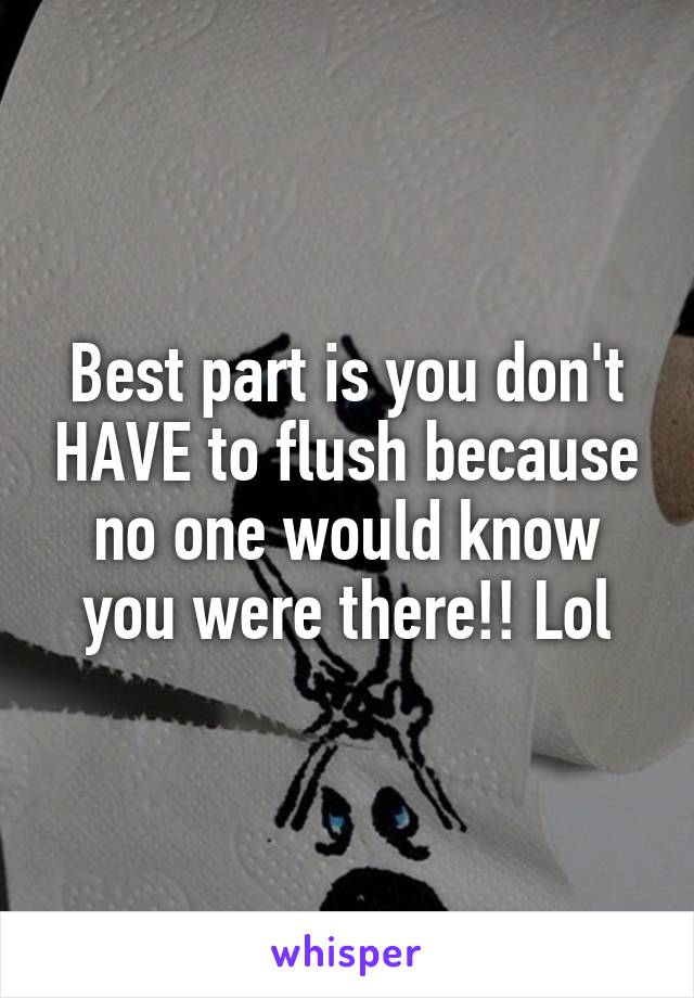 Best part is you don't HAVE to flush because no one would know you were there!! Lol