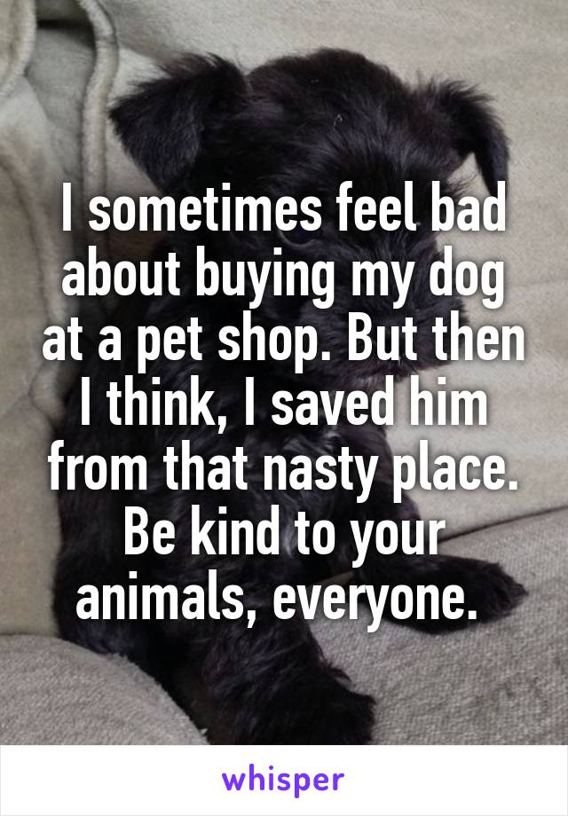 I sometimes feel bad about buying my dog at a pet shop. But then I think, I saved him from that nasty place. Be kind to your animals, everyone. 