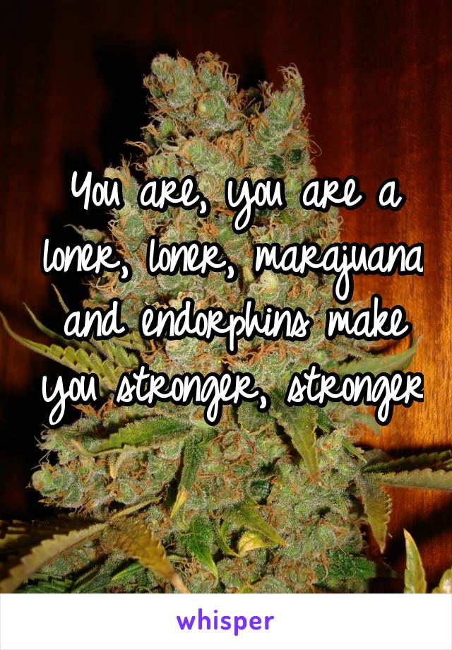 You are, you are a loner, loner, marajuana and endorphins make you stronger, stronger 