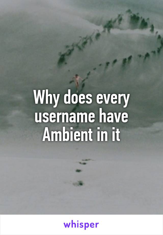 Why does every username have Ambient in it