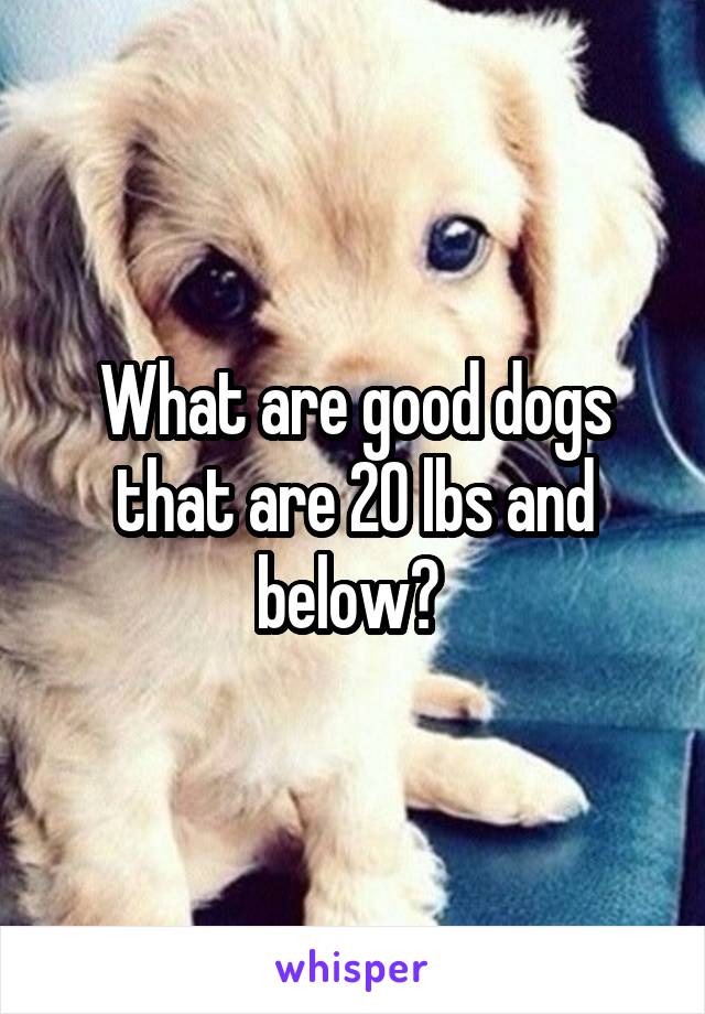 What are good dogs that are 20 lbs and below? 