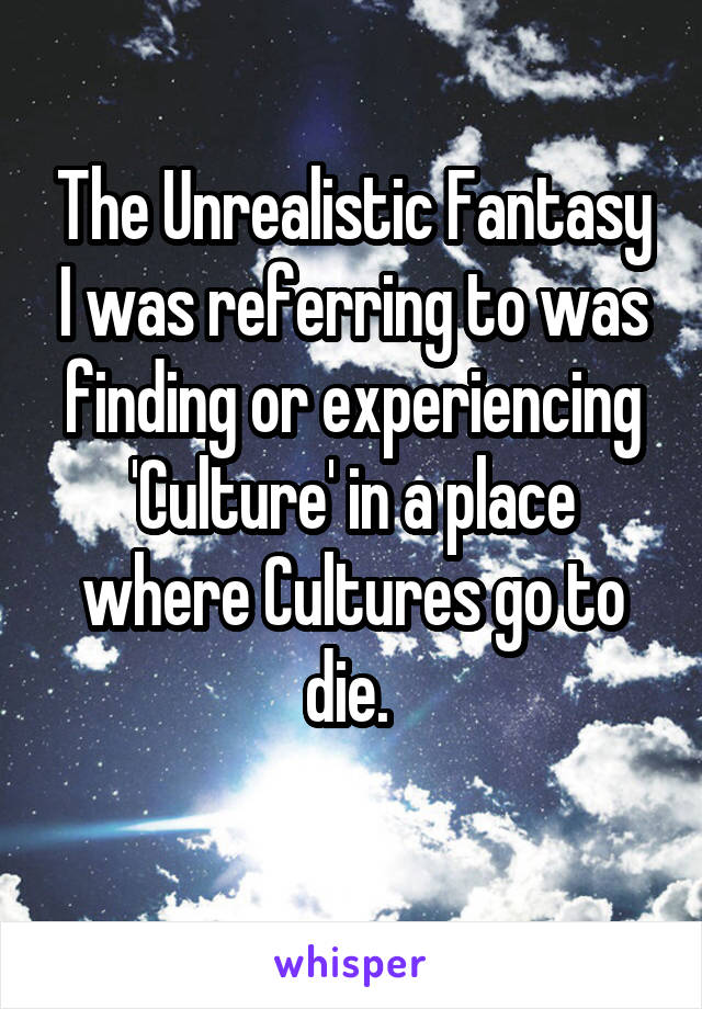 The Unrealistic Fantasy I was referring to was finding or experiencing 'Culture' in a place where Cultures go to die. 

