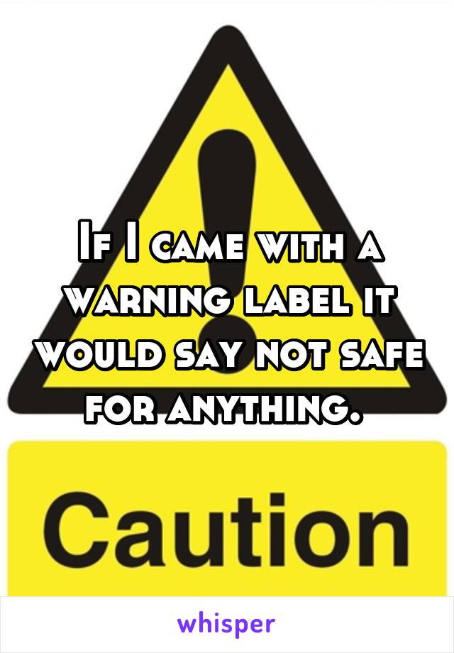 If I came with a warning label it would say not safe for anything. 