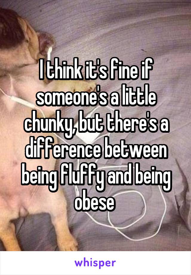 I think it's fine if someone's a little chunky, but there's a difference between being fluffy and being obese 