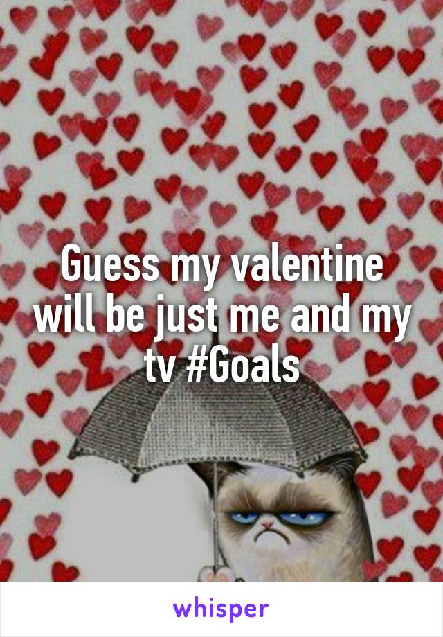 Guess my valentine will be just me and my tv #Goals