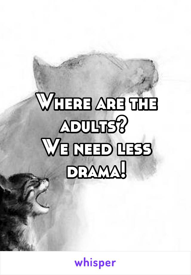 Where are the adults? 
We need less drama!