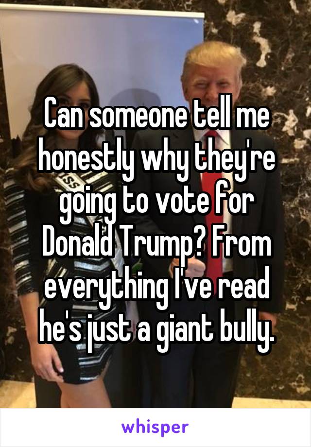 Can someone tell me honestly why they're going to vote for Donald Trump? From everything I've read he's just a giant bully.