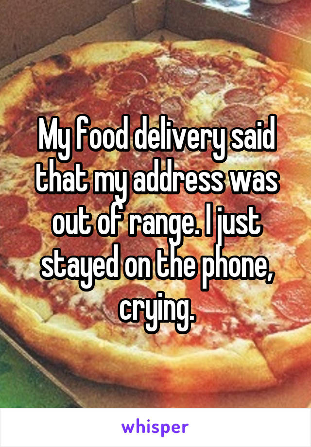 My food delivery said that my address was out of range. I just stayed on the phone, crying.