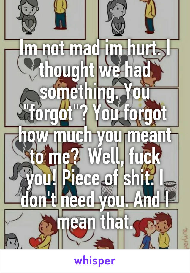 Im not mad im hurt. I thought we had something. You "forgot"? You forgot how much you meant to me?  Well, fuck you! Piece of shit. I don't need you. And I mean that.
