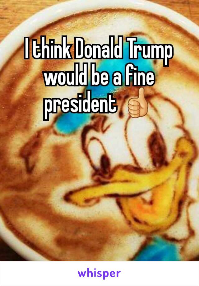 I think Donald Trump would be a fine president 👍