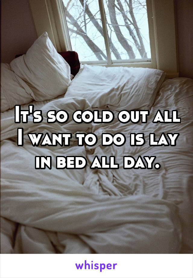 It's so cold out all I want to do is lay in bed all day.