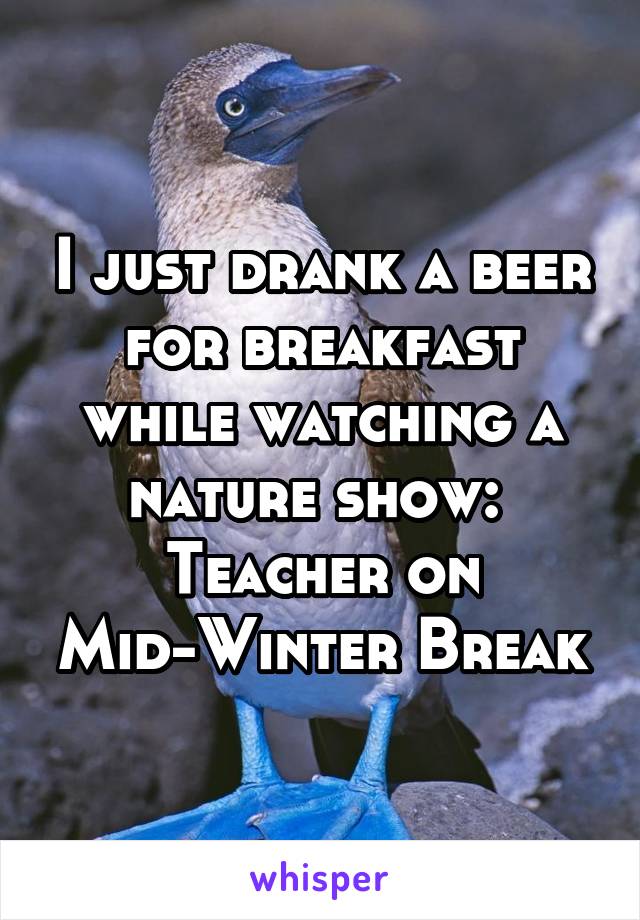 I just drank a beer for breakfast while watching a nature show:  Teacher on Mid-Winter Break