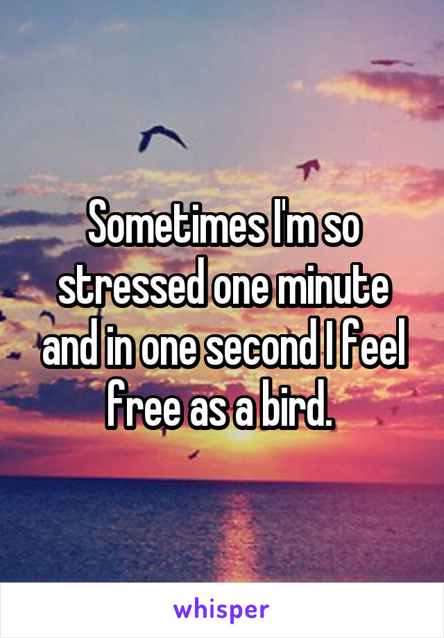 Sometimes I'm so stressed one minute and in one second I feel free as a bird. 
