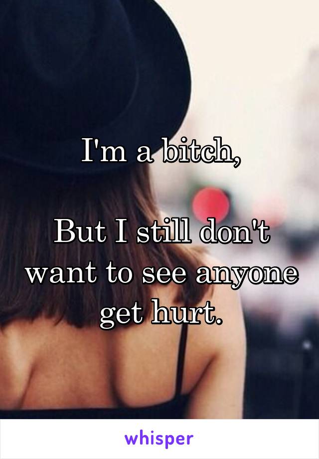 I'm a bitch,

But I still don't want to see anyone get hurt.