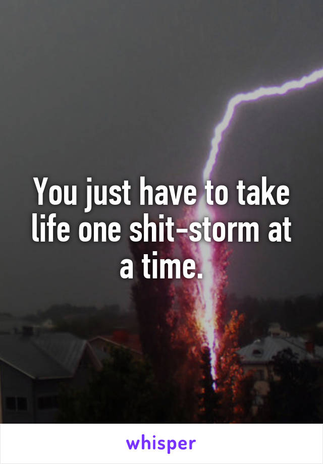 You just have to take life one shit-storm at a time.