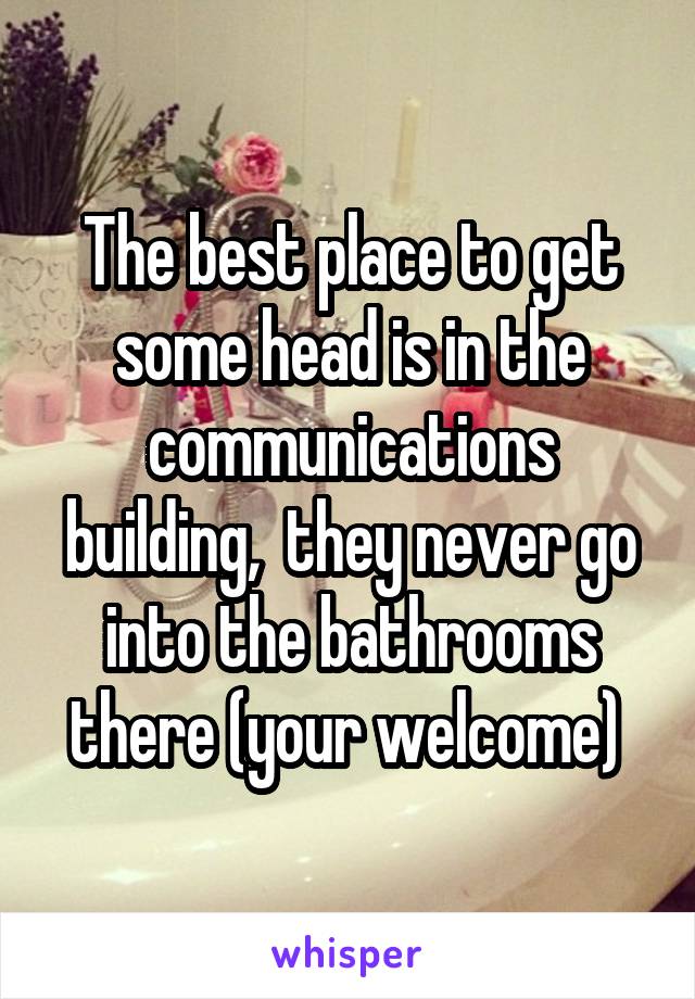 The best place to get some head is in the communications building,  they never go into the bathrooms there (your welcome) 