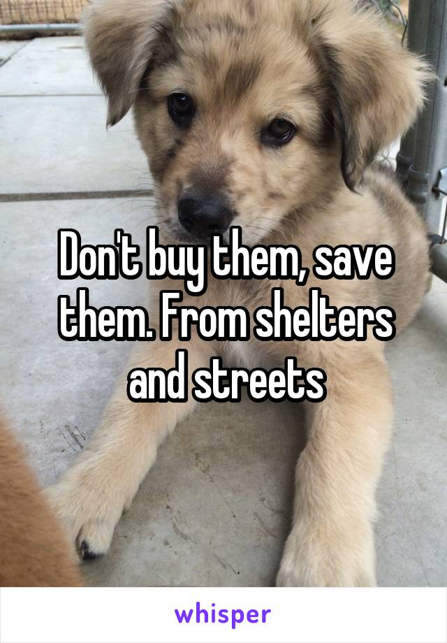 Don't buy them, save them. From shelters and streets