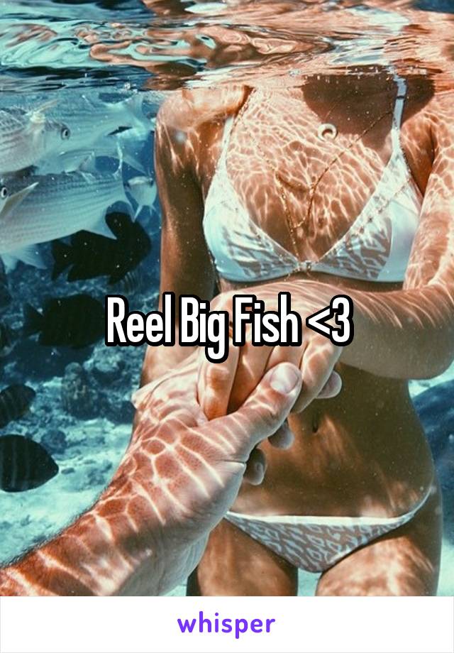 Reel Big Fish <3