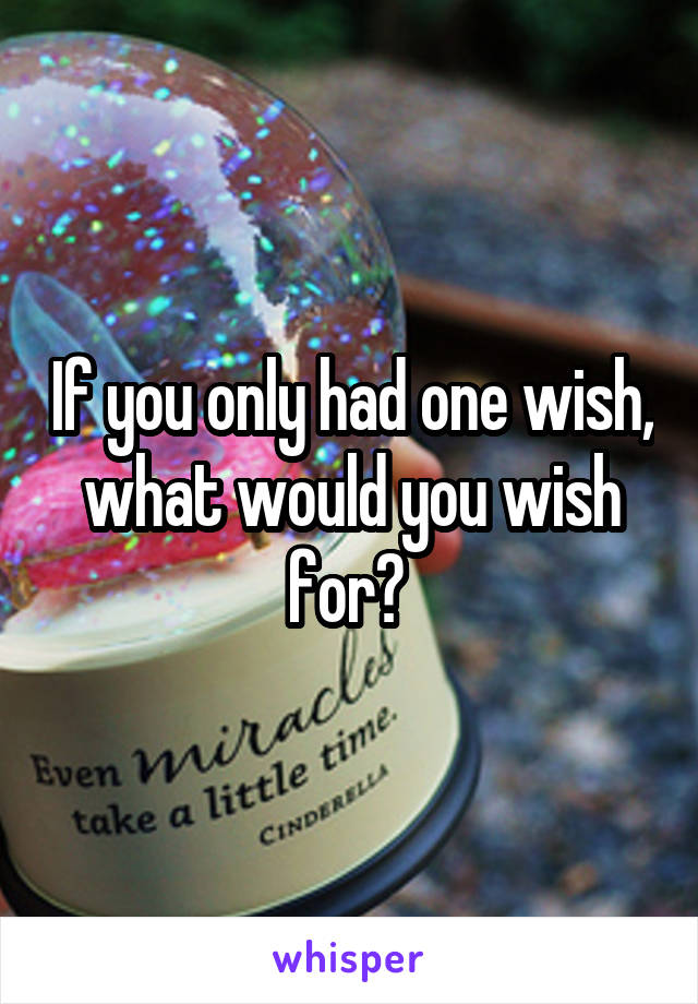 If you only had one wish, what would you wish for? 