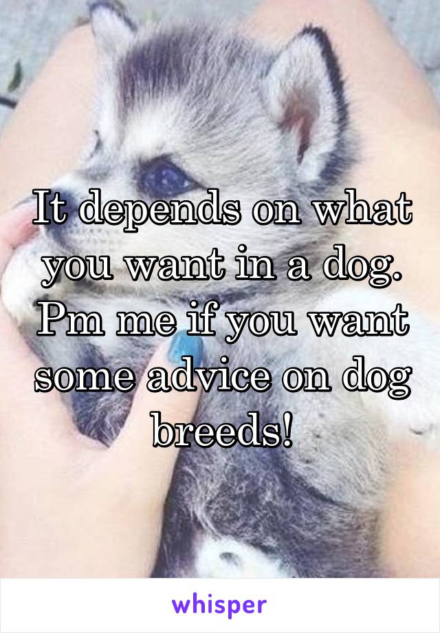 It depends on what you want in a dog. Pm me if you want some advice on dog breeds!