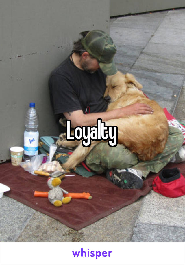 Loyalty 