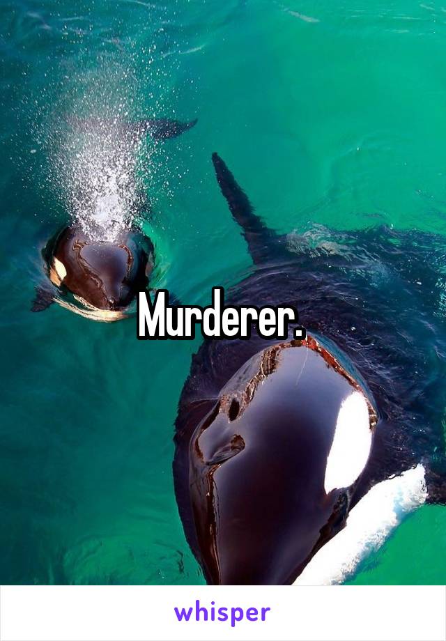 Murderer. 