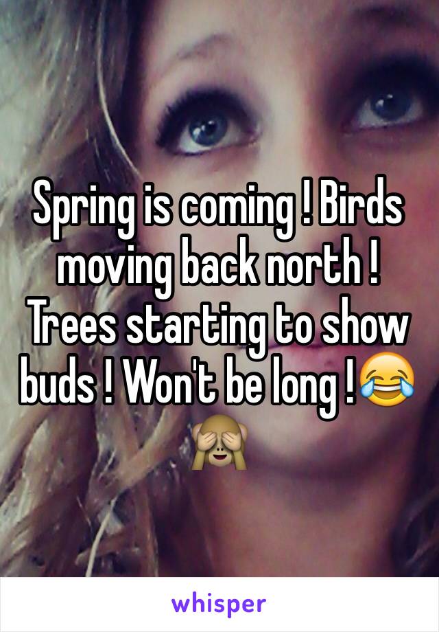 Spring is coming ! Birds moving back north ! Trees starting to show buds ! Won't be long !😂🙈