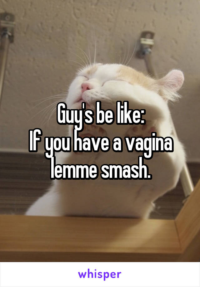 Guy's be like:
If you have a vagina lemme smash.