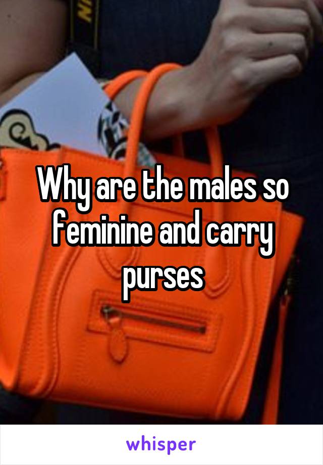 Why are the males so feminine and carry purses