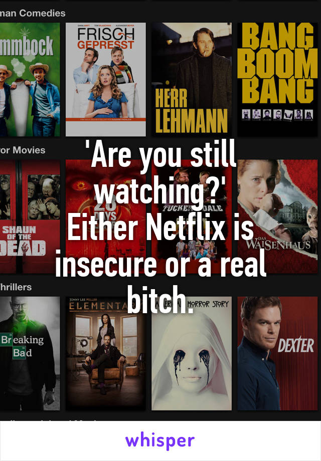 'Are you still watching?'
Either Netflix is insecure or a real bitch.