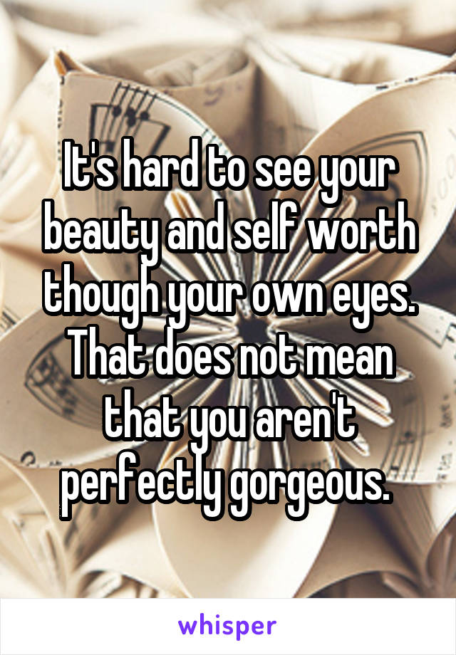 It's hard to see your beauty and self worth though your own eyes. That does not mean that you aren't perfectly gorgeous. 