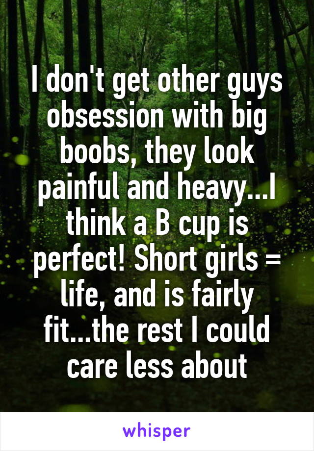 I don't get other guys obsession with big boobs, they look painful and heavy...I think a B cup is perfect! Short girls = life, and is fairly fit...the rest I could care less about