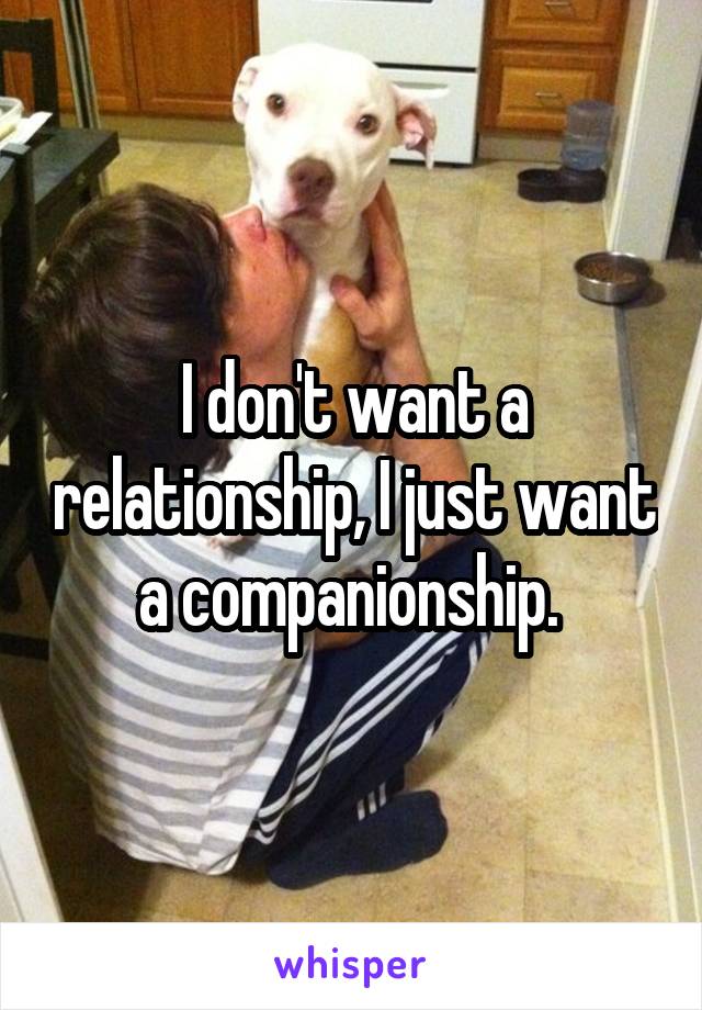I don't want a relationship, I just want a companionship. 