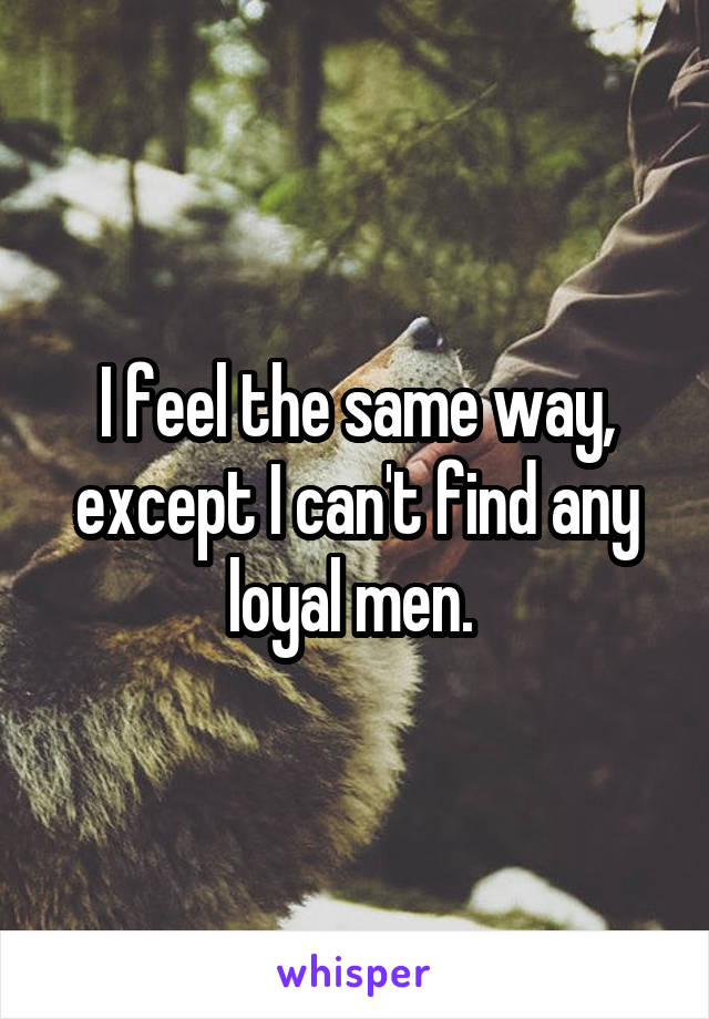 I feel the same way, except I can't find any loyal men. 
