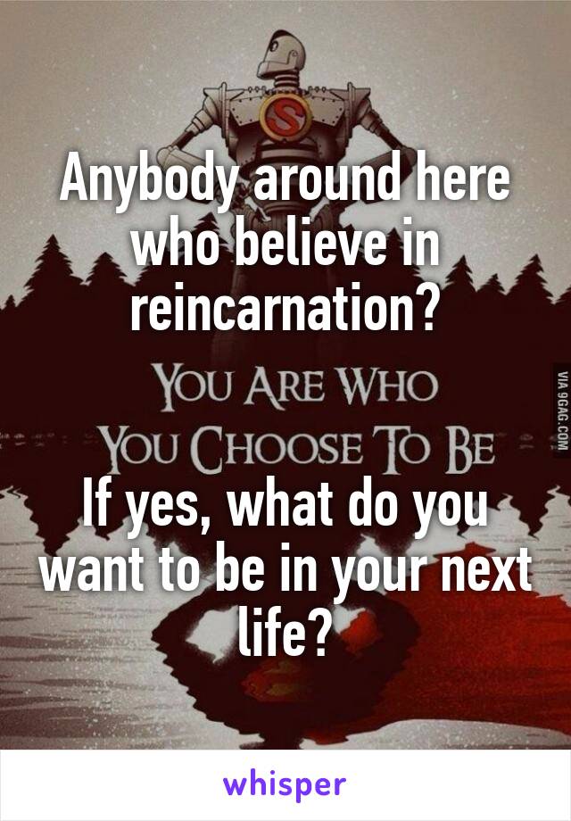 Anybody around here who believe in reincarnation?


If yes, what do you want to be in your next life?
