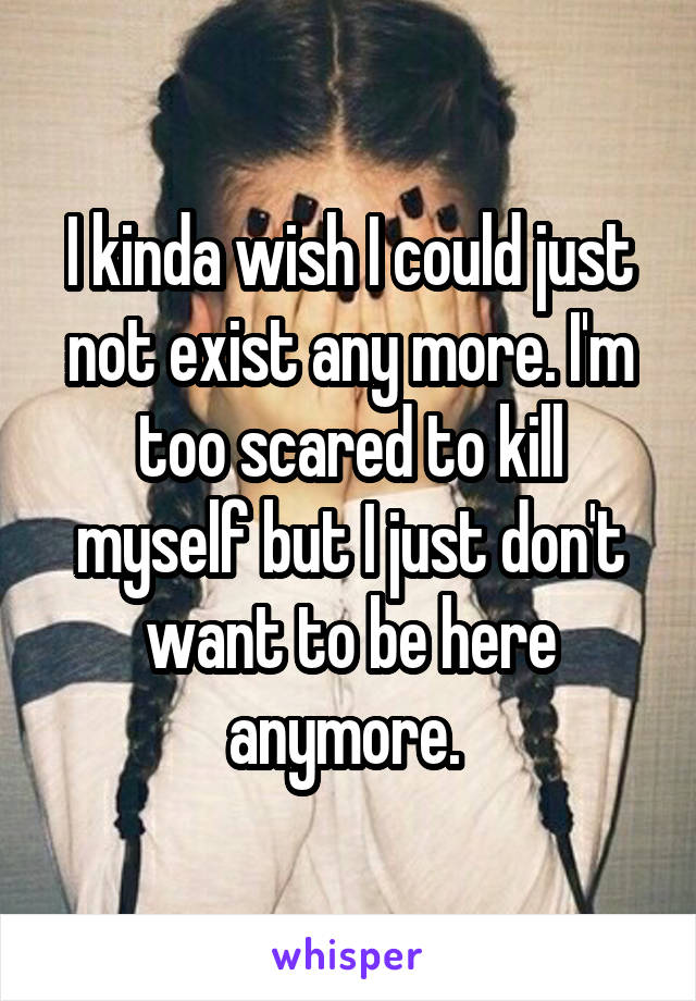 I kinda wish I could just not exist any more. I'm too scared to kill myself but I just don't want to be here anymore. 