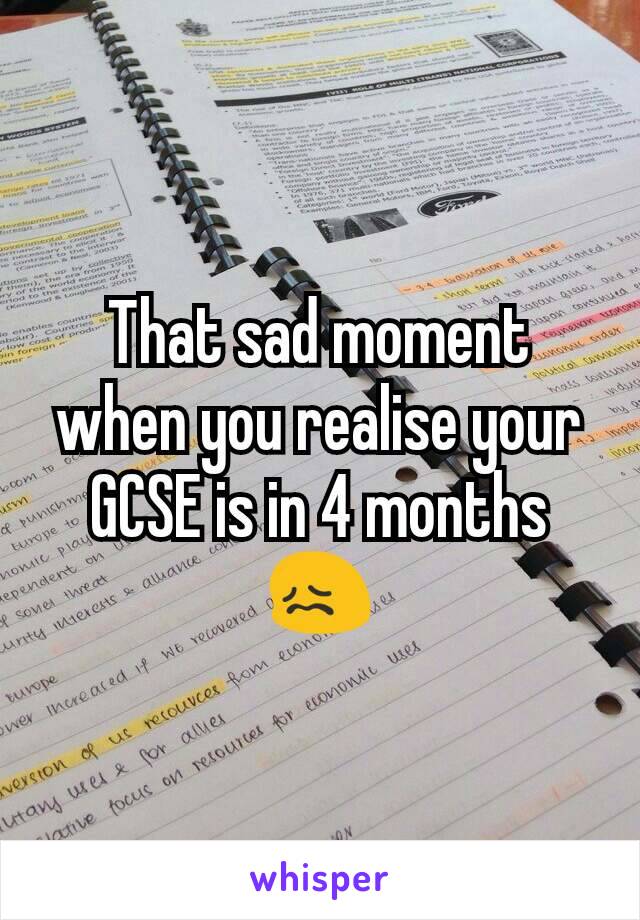 That sad moment when you realise your GCSE is in 4 months 😖