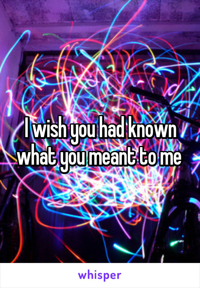 I wish you had known what you meant to me 
