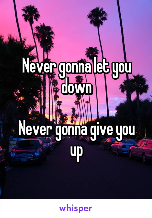 Never gonna let you down

Never gonna give you up