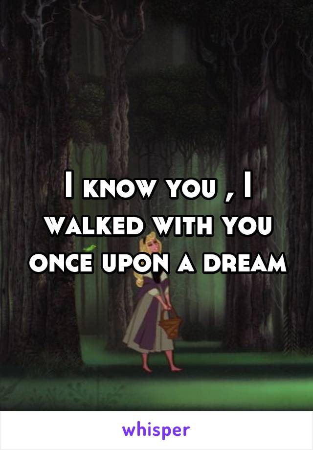 I know you , I walked with you once upon a dream