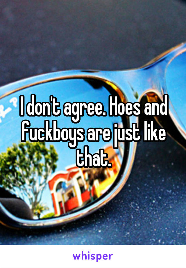 I don't agree. Hoes and fuckboys are just like that.