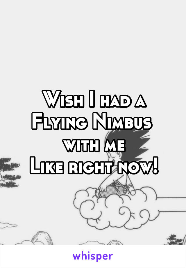 Wish I had a
Flying Nimbus 
with me
Like right now!